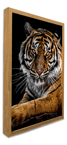 Quadro Motivacional A Face Do Tigre 3cm Fr C/vidro 30x40cm