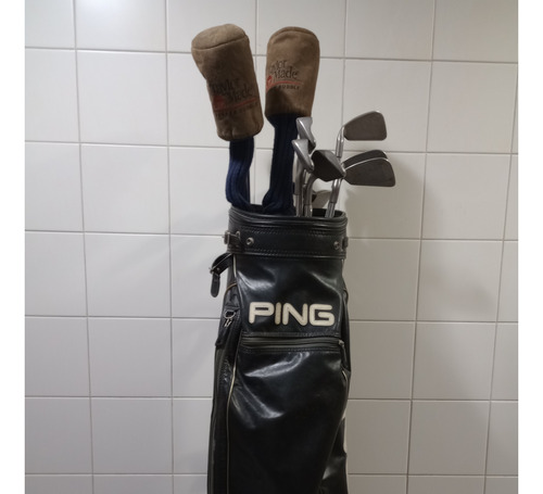 Set Completo Palos Golf Ping 3-pw, Putter, Madera Taylormade
