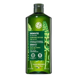 Tratamiento Anticaida Shampoo Anticaida Yves Rocher