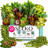 Seeko - Suculentas Artificiales - Paquete De 28 Plantas...
