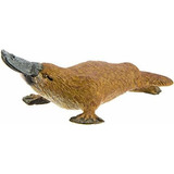 Safari Ltd Wild Safari Wildlife Platypus