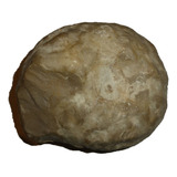 Mineral De Colección Amonites Fósil En Bruto 2 Mitades