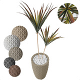 Planta Artificial Palmeira Yucca Variegata E Vaso Decoração