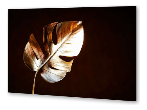 Cuadro 20x30cm Oro Hojas De Adan Monstera Plantas Deco M5