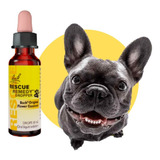 Bach Flower Remedies Floral Rescue Remedy Pet Gotas Para Cachorros E Gatos 10ml