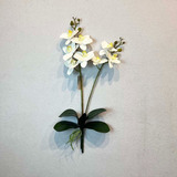 Orquidea 55cm Blanca X 2 Con Hojas