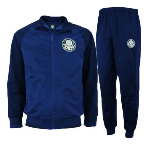 Agasalho Conjunto Inverno Masculino Palmeiras Helanca Spr
