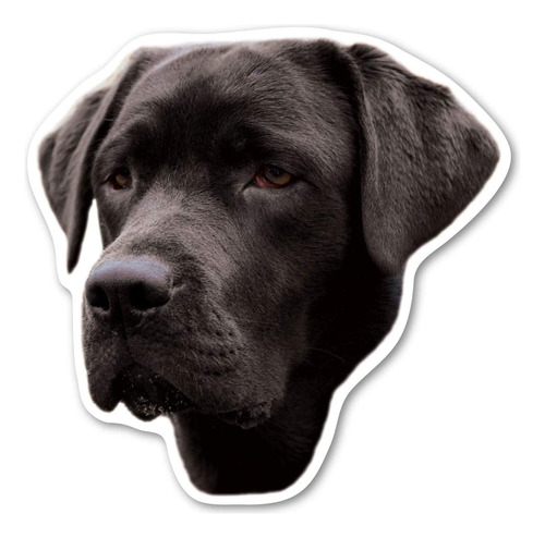 El Imán Para Perro Labrador Retriever (negro) De  Es De 4.75