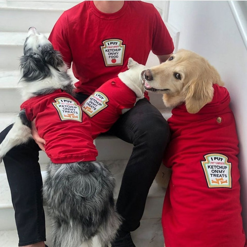 Roupa Pet Para Cachorro Golden Border Collie Pastor Pitbull