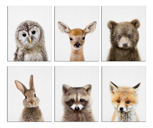 Ephany Psteres E Impresiones Artsticas De Animales Bebs: Pin