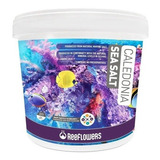 Caledonia Sea Salt 6,5kg Balde Sal Marinho Reeflowers