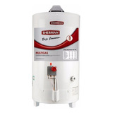 Termotanque A Gas Sherman By Rheem De Pie 50 Lts C. Superior