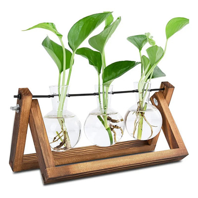 Yimeng. W Planta Terrario De Plantas Con Soporte Madera