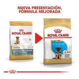Royal Canin Ovejero Alemán Junior X 12kg Pet Shop Caba