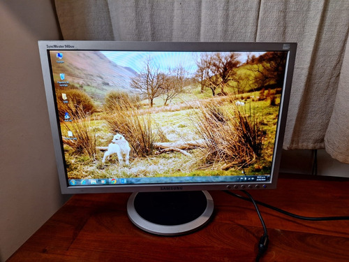 Monitor Samsung 940nw 19  Lcd, Funciona Perfectamente