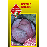 Semillas Repollo Morado Hortaliza