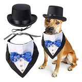 Conjunto Accesorios Formales Mascotas - Sombrero Y Bandana