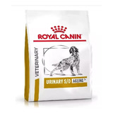Royal Canin Urinary Dog S/o Ageing 7+ X 10kg + Envios!!!