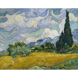 Cuadro Canvas Van Gogh Árboles Y Pasto 50x70