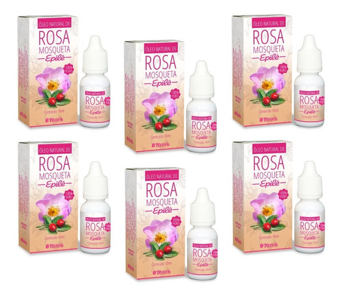 6 Óleo Rosa Mosqueta Rugol Epilê Natural 100% Puro 10 Ml