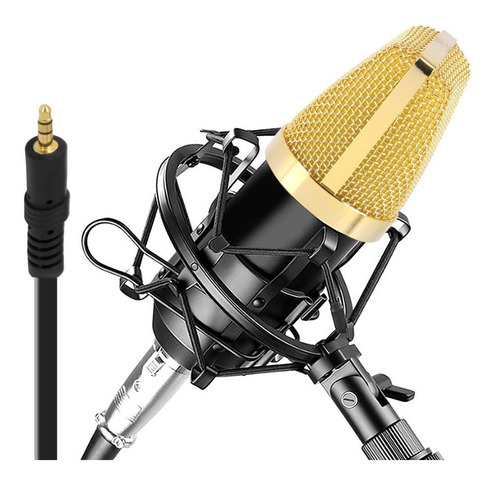 Microfono Pyle Pdmic71 Condensador Cardioide Color Dorado