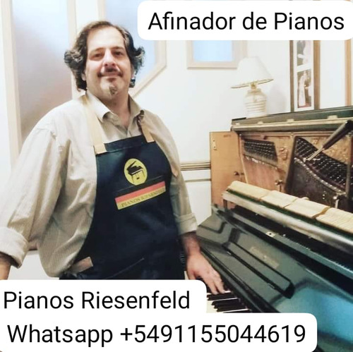 Afinador De Pianos Profesional.