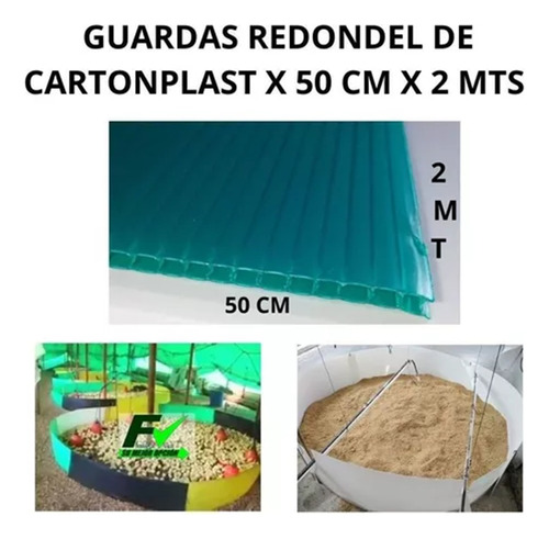  6 Guardas Redondel Cartonplast 50 Cm X 2mt Galpon Pollo