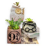 Matera Harry Potter Colección Completa + Suculentas + Obsequ