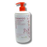 Shampoo Cola Caballo + Queratina Y Sílice 400ml - Bellemer®