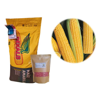 Maiz Hibrido Elotero Amarillo Dk 7500 A Granel 1kg | Envío gratis