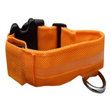 Led Collar De Perro, Grande, Naranja