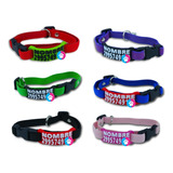 Collar Con Nombre Para Gato Antiahorque + Varios Colores