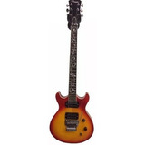 Guitarra Eléctrica Parquer Modelo Jk Floyd Rose