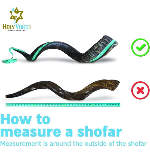 Kudu Shofar Kosher Cuerno De Israel De 24 A 28 Pulgadas, Tra