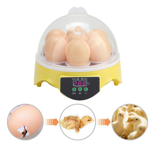 7 Huevos Inteligentes Pollos Patos Completamente Automáticos