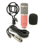 Microfono Profesional Youtube Set Estudio Video Juegos Bm800 Rosa