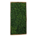 Decoración De Musgo Preservado Widget Moss Real Wall Home