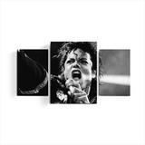 Cuadro Triptico  Michael Jackson Musica Rey Del Pop Tic Time