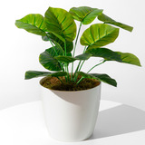 Plantas Artificiales Verde 40cm Con Maceta Nordica