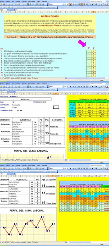 Test Escala Clima Laboral Social Wes Automatizado Ilimitado