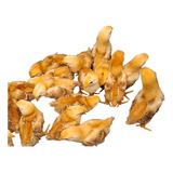 Pintos De Rhode Island Red (5 Pintos) - Somente Retirando