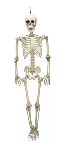 Caveira Esqueleto Grande Anatomia 90cm  Articulado Halloween