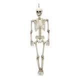 Caveira Esqueleto Grande Anatomia 90cm  Articulado Halloween