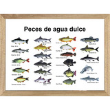  Pesca Cuadros Carteles Posters Publicidades    P388