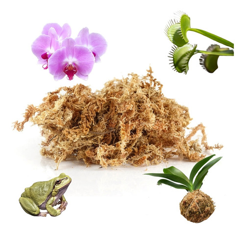 Musgo Sphagnum Esfango Turba Carnívoras Orquídeas Cultivo