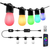 Crestin Smart Outdoor String Lights 48ft Color Changing Rgbc