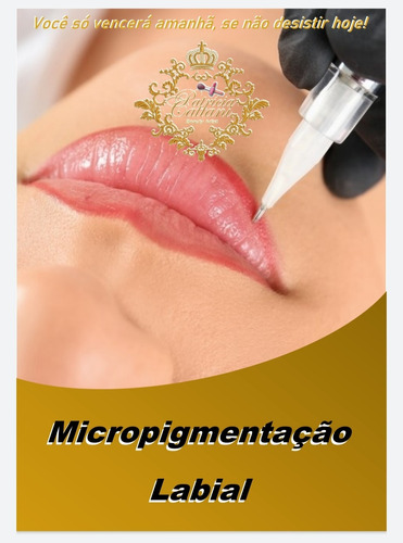 Micropigmentação Apostila Completa Com Sua Logo+certificado