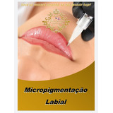 Micropigmentação Apostila Completa Com Sua Logo+certificado