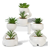 Plantas Suculentas Falsas Artificiales, 3 Plantas Artif...