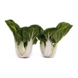 40 Sementes De Pak Choi Canton Repolho Chinês